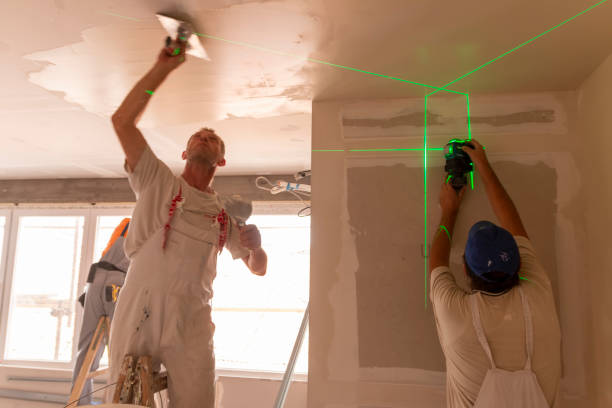 Best Ceiling Drywall Installation  in Melrose Park, IL